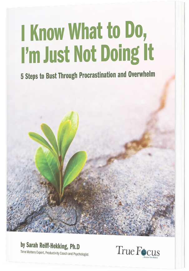 Bust Through Procrastination and Overwhelm EBook