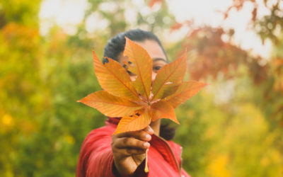Setting Yourself Up for an Amazing Fall
