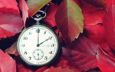 Finding Focus During a Fantastic Fall