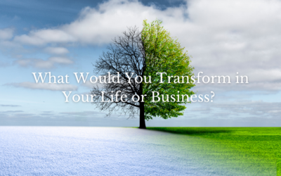 What Would You Transform in Your Life or Business?