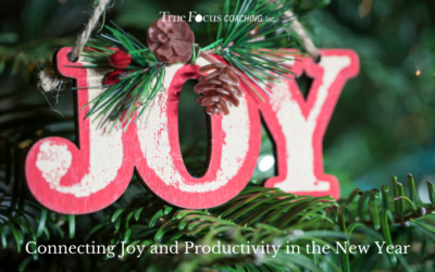 Connecting Joy and Productivity in the New Year