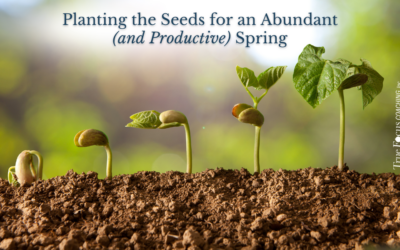 Planting the Seeds for an Abundant (and Productive) Spring